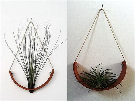 Unusual Air Plants - Home Decoration Inspiration Ideas and Gifts - family holiday.net/guide to ...