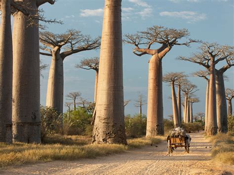 The 50 Most Beautiful Places in Africa - Photos - Condé Nast Traveler