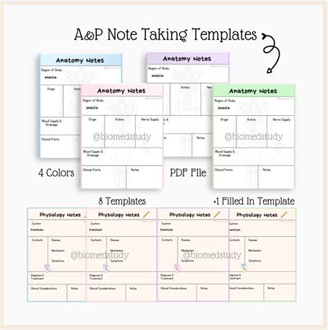 Anatomy and Physiology Note Taking Templates Study Guide | Etsy