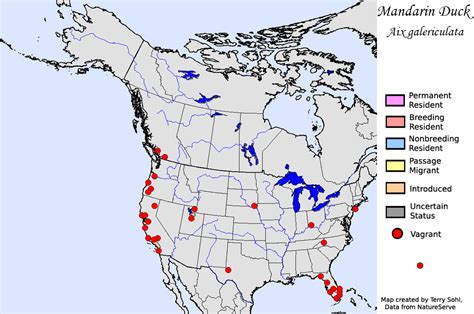 Mandarin Duck - Species Range Map