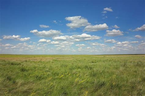 Temperate Grasslands African Grasslands