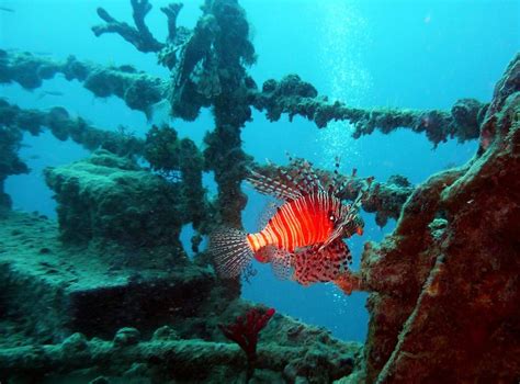 Take an Underwater Tour of the Titanic Next Year | Trekbible