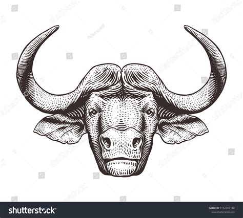 Pencil Art Buffalo: Over 437 Royalty-Free Licensable Stock Illustrations & Drawings | Shutterstock