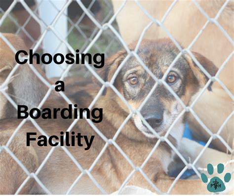 Choosing a Boarding Facility