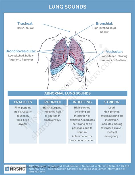 Bronchial