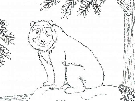 Spectacled Bear coloring pages - SeaColoring