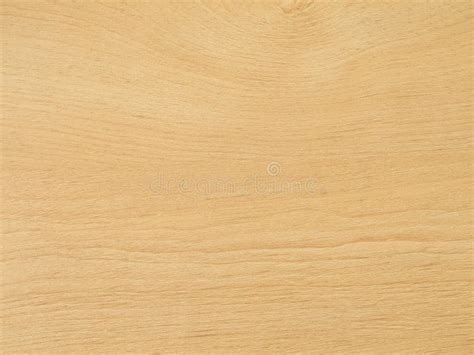 Light Wood Texture Background