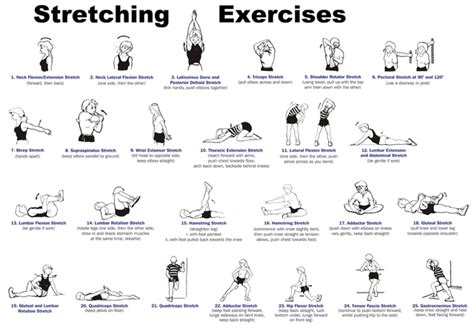 Exercise Poster Stretching Warm Up Cool Down Chart (A1 Paper Format) | canoeracing.org.uk