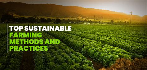 Top Sustainable Farming Practices and Methods in India