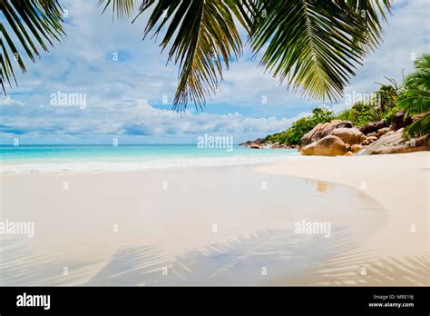 Tropical beach. The Seychelles Stock Photo - Alamy