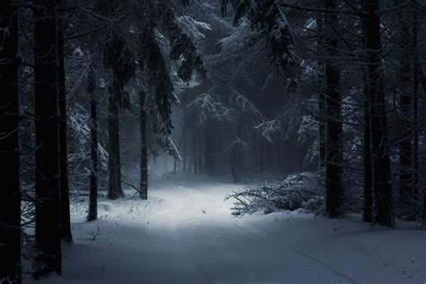 Dark Snowy Forest Wallpapers - Top Free Dark Snowy Forest Backgrounds - WallpaperAccess