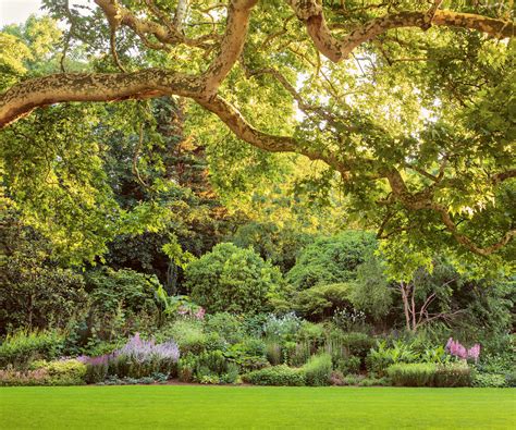 Tour the Buckingham Palace gardens: and discover its secrets | Homes & Gardens