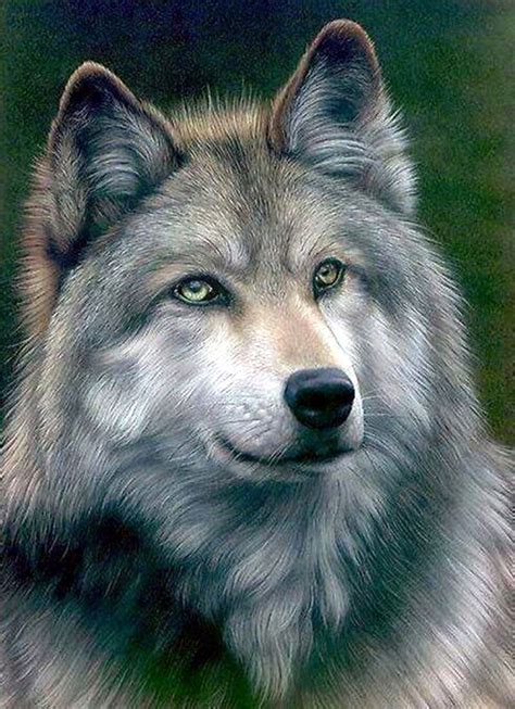 40 Realistic Animal Pencil Drawings