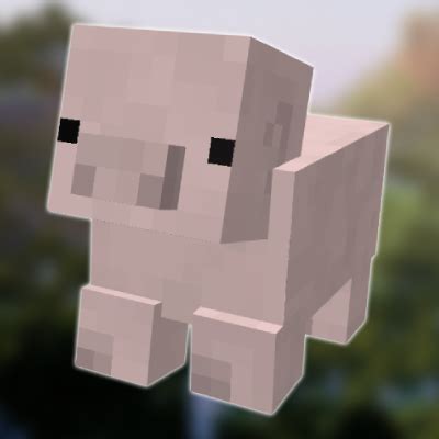 Install Teacup Piggies - Minecraft Mods & Modpacks - CurseForge