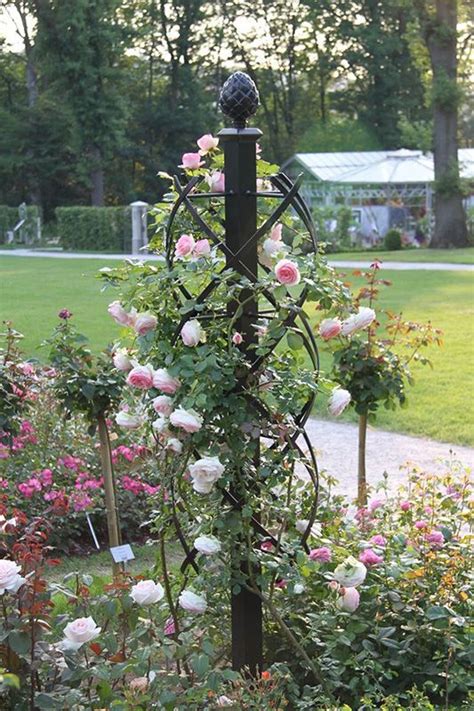 a garden with pink roses growing on the pole and green grass in the back ground