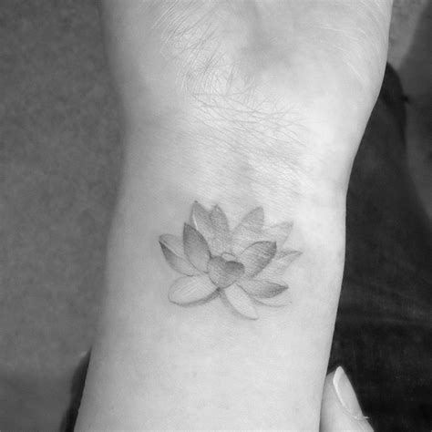 Water Lily Tattoo Meaning – neartattoos