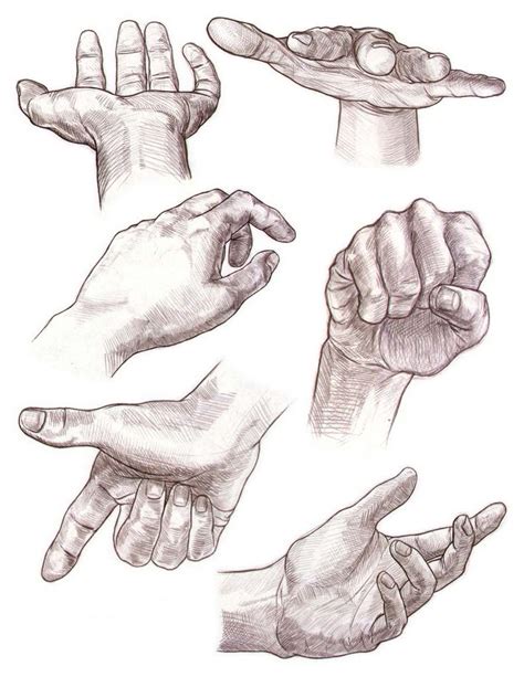 Hands Drawing Reference and Sketches for Artists