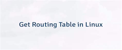 Get Routing Table in Linux | Lindevs