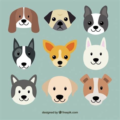 Races De Chien Mignon | Vecteur Premium | Razas perros bonitos, Perros vector, Perros en caricatura