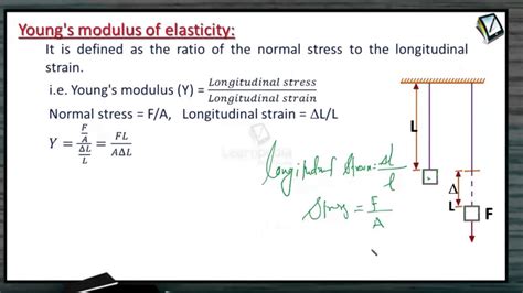 Elasticity Definition And Example