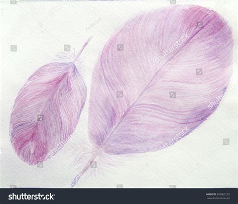 Watercolor Wallpaper Decorative Feathers Stock Illustration 393065152 | Shutterstock