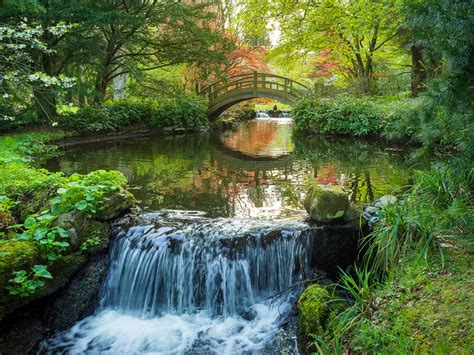 Stobo Japanese Water Garden