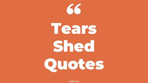 45 Killer There Are More Tears Shed Quotes | don't shed tears, shed your tears quotes