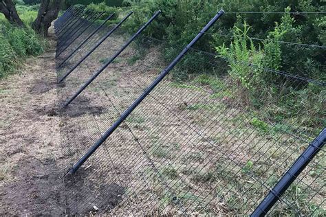 Deer Fencing - Fence Installation | Red Fox Fence, Inc.