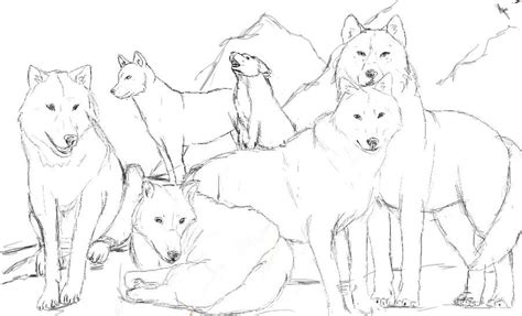 Realistic Wolf Pack Coloring Pages