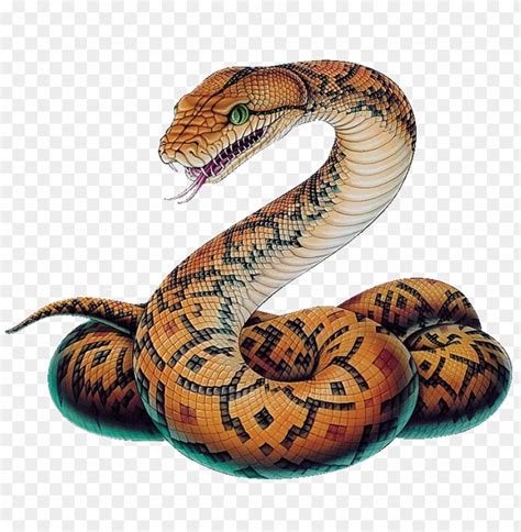 Snake Png Image - Python Snake Drawi PNG Transparent With Clear Background ID 184789 | TOPpng