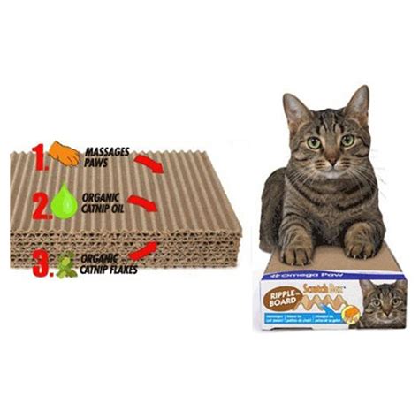 Ripple Board Cat Scratch Box | BaxterBoo