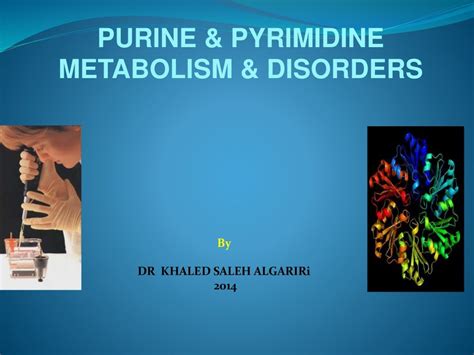 Purine & pyrimidine metabolism and disorders