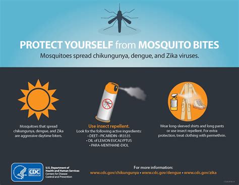 CDC Global Health - Infographics - Protect Yourself from Mosquito Bites