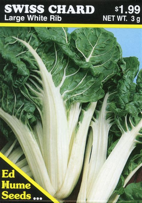 Swiss Chard – Large White Rib – Hume Seeds