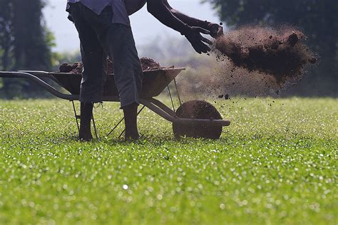 In Sri Lanka, Organic Farming Went Catastrophically Wrong – Ilankai Tamil Sangam