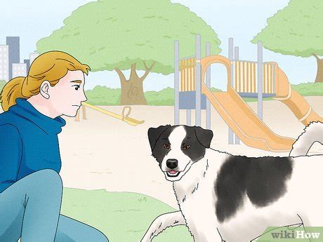 3 Ways to Hug a Dog - wikiHow Pet