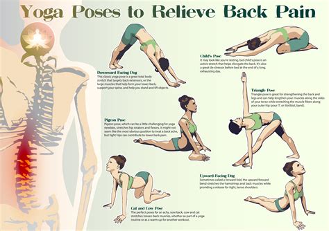 good yoga poses for lower back