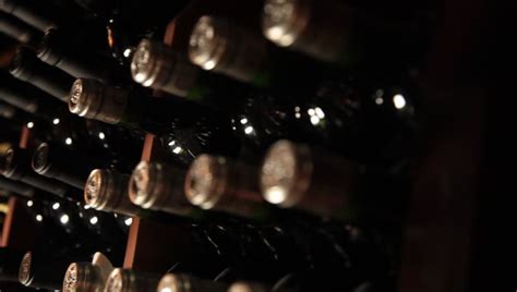 sommelier choosing wine 3 Stock Footage Video (100% Royalty-free) 6068798 | Shutterstock