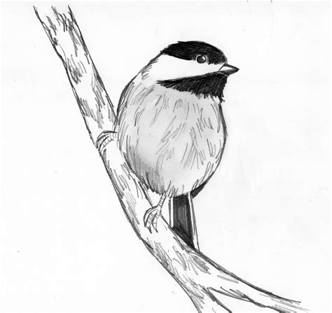 Draw 25 Wild Animals (Even If You Don’t Know How to Draw!) | Art Starts