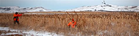 South Dakota Late Season Pheasant Hunts | Buffalo Butte Ranch