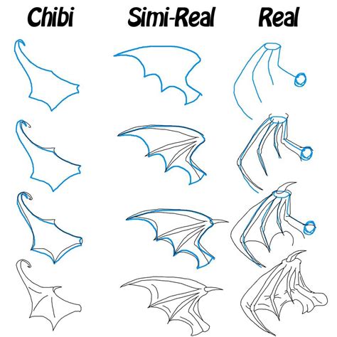 Bat Wing Drawings