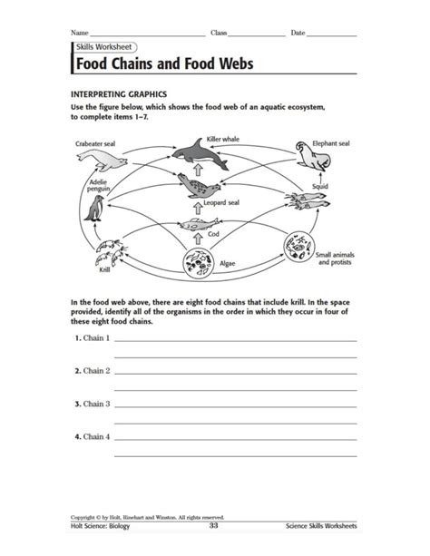 Food Webs And Food Chains Worksheets