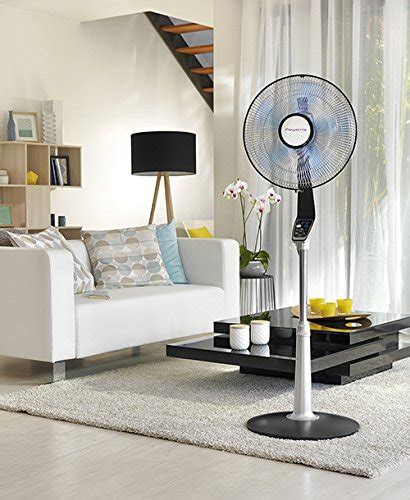 19 Best Pedestal Fans | Reviews + Guide