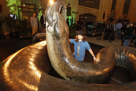 Biggest Snake Ever to be Displayed at Smithsonian | Smithsonian Institution