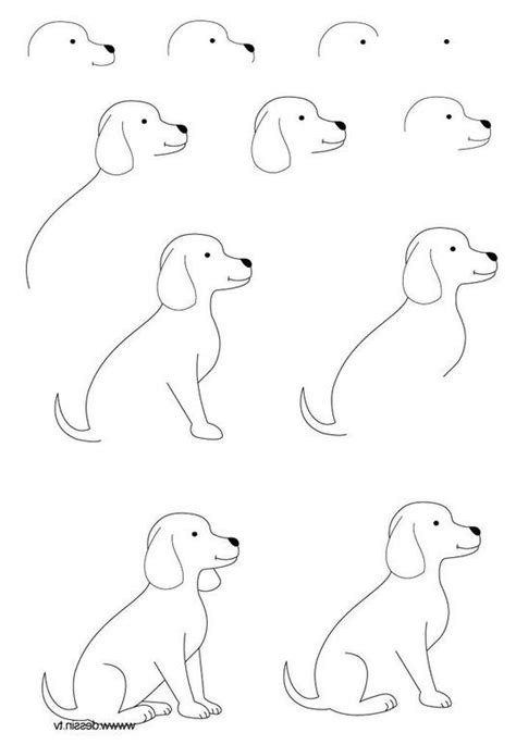 How To Learn Drawing Step By Step – CollegeLearners.com