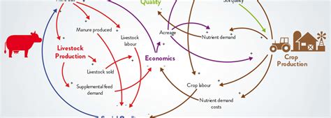 What is a Causal Loop Diagram and What is it Good For? | Marketlinks