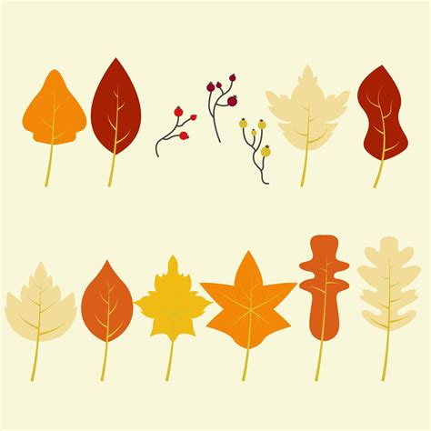 Autumn Leaf Collection 20294393 Vector Art at Vecteezy