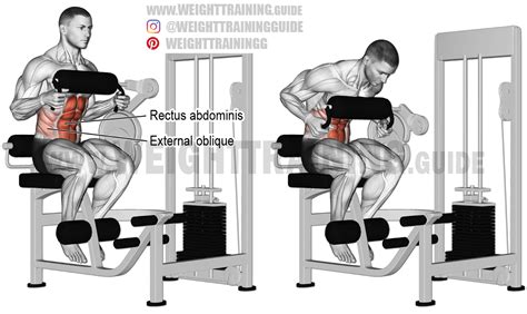 Machine seated crunch instructions and video | Weight Training Guide