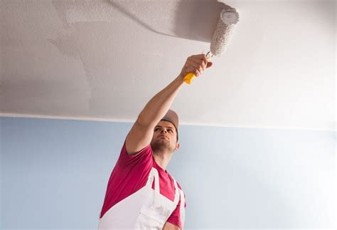 5 Best Paint Rollers for Ceilings