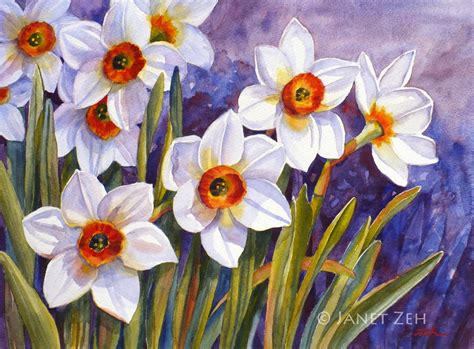 Janet Zeh Original Art Watercolor and Oil Paintings: Narcissus Flower Daffodil Original ...